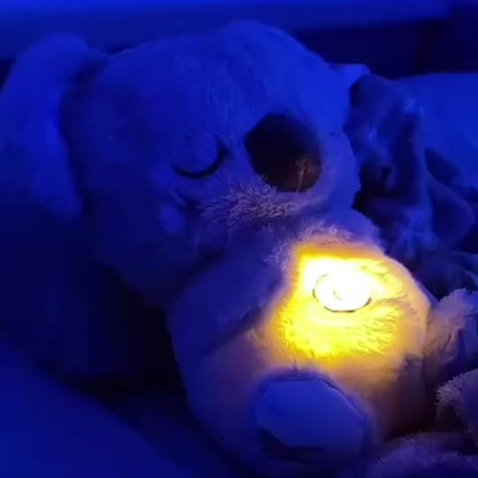 baloo koala relief